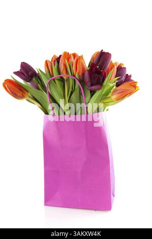 Tulipani colorati in sacchetto di carta rosa isolati su bianco Foto Stock