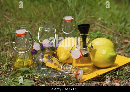 Rendendo Fruit Lemonade con limone in bottigliette Foto Stock