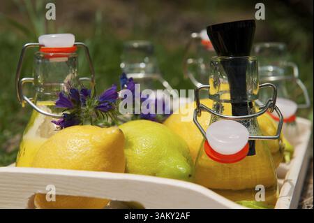 Preparare limonata di limone fatta in casa in piccole bottiglie Foto Stock