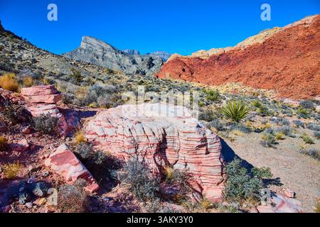 Formazioni stratificate del Red Rock Canyon e livello Mountain View Eye Foto Stock
