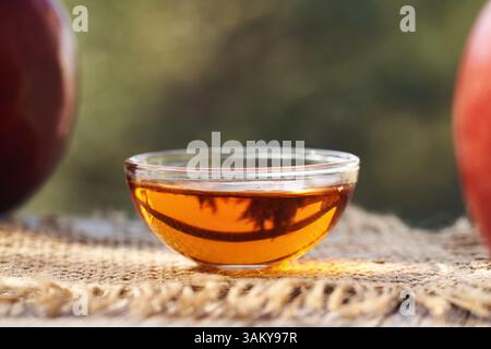 Aceto di sidro di mele in un recipiente di vetro trasparente Foto Stock