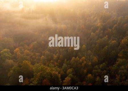 Paesaggio di Foggy, vista aerea con droni, foresta autunnale multicolore all'alba Foto Stock