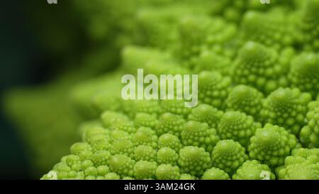 Macro di cavolo fresco di broccoli Romanesco. Unico cavolfiore vegetale Foto Stock