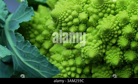 Macro di cavolo fresco di broccoli Romanesco. Unico cavolfiore vegetale Foto Stock