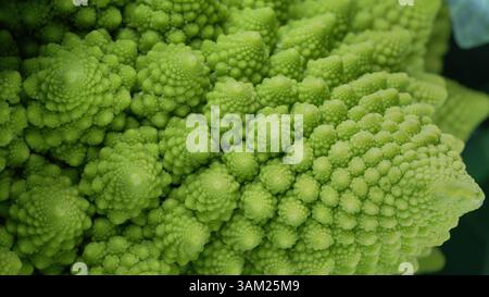 Vista macro della testa dei broccoli Romanesco. Cavolo verde, primo piano, sequenza di fibonacci. Foto Stock