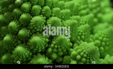 Vista macro della testa dei broccoli Romanesco. Cavolo verde, primo piano, sequenza di fibonacci. Foto Stock