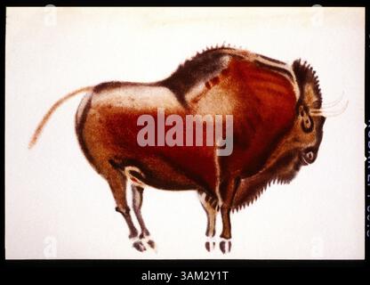 1° giugno 1900 - Bison, Altamira, Spagna, Pittura di grotta del periodo paleolitico superiore (immagine di credito: © Glasshouse/ZUMAPRESS.com) Foto Stock