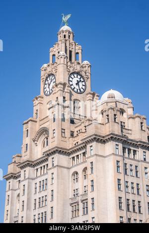 Royal Liver Building con Clock Towers e Liver Birds a Liverpool Foto Stock