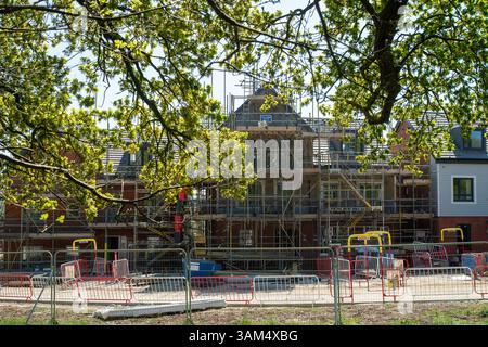 Maidenhead, Berkshire, Regno Unito. 11 aprile 2025. Nuove case e appartamenti in costruzione a South West Maidenhead, Berkshire, presso il sito di Harvest Hill dai costruttori Taylor Wimpey. Nella spinta dei laburisti a costruire più case e ignorare le preoccupazioni di "Nimby", la cancelliera Rachel Reeves ha recentemente detto ai costruttori che possono "dimenticare pipistrelli e noduli” quando pianificano più case. South West Maidenhead sta diventando irriconoscibile, dato che molti dei campi aperti sono in costruzione. Anche il vicino Maidenhead Golf Club ha 1.500 case di notizie costruite su di esso. Crediti: Maureen McLean/Alamy Foto Stock