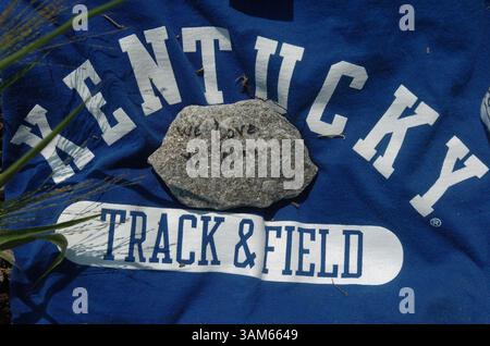 25 agosto 2005 - Stati Uniti - KRT LA NOTIZIA degli Stati Uniti SLUGGED: CMP-DRINKINGDEATHS KRT FOTOGRAFIA DI JANET WORNE/LEXINGTON HERALD-LEADER (agosto 30) questa T-shirt atletica faceva parte di un memoriale per Thomas Byers, 19 anni, fuggito dalla polizia dopo aver bevuto ad una festa fuori dal campus e fu colpito e ucciso da un treno. (lde) 2005 (immagine di credito: © Janet Worne/mct/ZUMAPRESS.com) Foto Stock