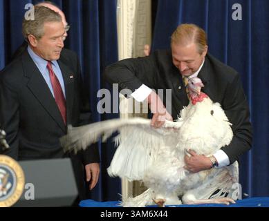 22 novembre 2005 - Stati Uniti - KRT LA NOTIZIA americana È BLOCCATA: BUSH-TURKEY FOTO KRT DI GEORGE BRIDGES/KRT (22 novembre) WASHINGTON, DC -- il presidente George W. Bush guarda come l'agricoltore turco James Trites posiziona Marshmallow il turco che ha ricevuto il perdono presidenziale per il Ringraziamento martedì 22 novembre 2005, presso l'Eisenhower Executive Office Building vicino alla Casa Bianca. (gsb) 2005 (immagine di credito: © George Bridges/mct/ZUMAPRESS.com) Foto Stock