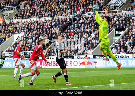 Durante la partita di Premier League Newcastle United vs Manchester United al St. James's Park, Newcastle, Regno Unito, 13 aprile 2025 (foto di Mark Cosgrove/News Images) Foto Stock