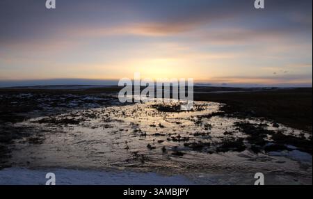 15 marzo 2011 - Calgary, ALBERTA, CANADA - il Runoff dalla fusione di neve cattura i colori del tramonto vicino a Vulcan, Alberta, il 15 marzo 2011. MIKE DREW/CALGARY SUN/QMI AGENCY (immagine di credito: © Mike Drew/QMI Agency/ZUMAPRESS.com) Foto Stock