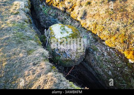 Vista unica da Kostivere, Estonia: Masso gigante bloccato in una stretta crepaccia carsica sopra il fiume sotterraneo. Foto Stock