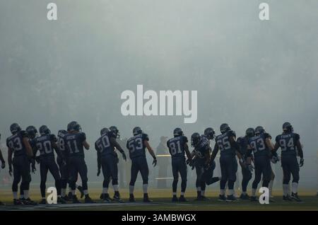 27 novembre 2005 - Seattle, WA, USA - il fullback dei Seattle Seahawks Mack strong (38) viene annunciato prima dell'inizio di una partita contro i New York Giants al Qwest Field di Seattle, Washington. I Seahawks sconfissero i Giants 24-21. 27 novembre 2005. ©Troy Wayrynen/Columbian

 (immagine di credito: © Troy Wayryen/ZUMAPRESS.com) Foto Stock