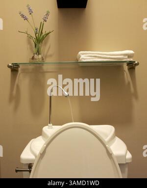5 dicembre 2007 - la casa di Raleigh di Jonathan Philips, considerata una delle più verdi d'America, include un WC a basso flusso dotato di un lavandino alimentato dall'acqua piovana e che si alimenta nell'alimentazione idrica del bagno. (Ted Richardson/Raleigh News & Observer/MCT) (immagine di credito: © Ted Richardson/MCT/ZUMAPRESS.com) Foto Stock