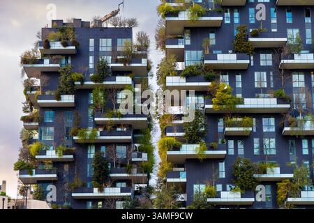 Primo piano delle torri residenziali del Bosco verticale, porta nuova, Milano Italia Foto Stock