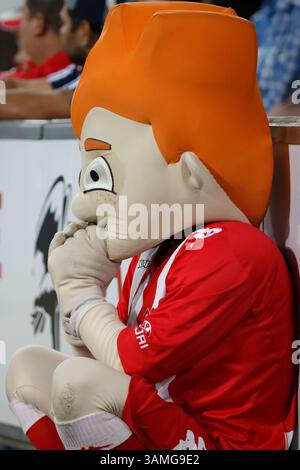 1 marzo 2014 - Melbourne, Victoria, Australia - la mascotte Heart guarda l'azione nel round 21 match tra Melbourne Heart e Melbourne Victory nella stagione australiana Hyundai A-League 2013-24 all'AAMI Park di Melbourne, Australia. (Immagine di credito: © Sydney Low/ZUMAPRESS.com) Foto Stock