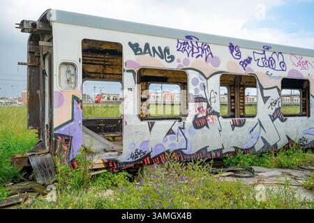 Carrozze ferroviarie passeggeri distrutte, fatiscenti e abbandonate accanto alla stazione ferroviaria in disuso nella città di Barreiro-Portogallo. Foto Stock