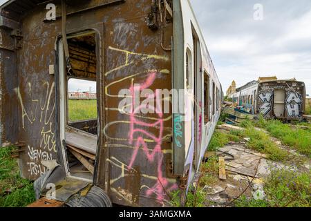 Carrozze ferroviarie passeggeri distrutte, fatiscenti e abbandonate accanto alla stazione ferroviaria in disuso nella città di Barreiro-Portogallo. Foto Stock