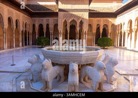 Cortile dei Leoni Palacios Nazaries complesso dell'Alhambra sculture di leoni. Fontana dell'acqua architettura rinascimentale spagnola islamica Granada Spagna Foto Stock