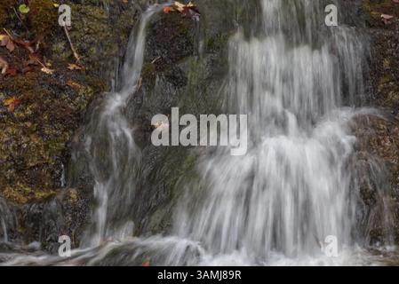 Piccola cascata che scorre su rocce ricoperte di muschio con foglie autunnali, Kochel am SEE, Baviera, Germania, Europa Foto Stock