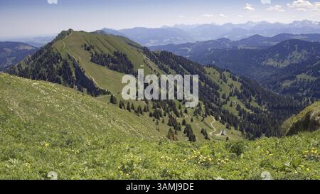 Vista panoramica su una catena montuosa boscosa, circondata da ampi prati, Oberstaufen, Baviera, Germania, Europa Foto Stock
