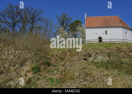 Piccola cappella su una collina con struttura in pietra e circondata da alberi sotto un cielo limpido, Bogen, bassa Baviera Foto Stock