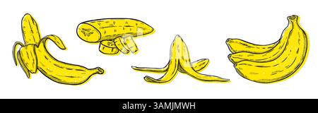 Banana doodle. Schizzo di pianta a linea, frutti tropicali interi e buccia. Grappolo di scimmie come arte naturale grafica, icona alimentare o set di incisioni. Prodotto organico botanico, spuntino gustoso. Illustrazione vettoriale isolata Illustrazione Vettoriale
