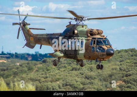 Elicottero da trasporto militare NH-90 della FAMET spagnola Foto Stock