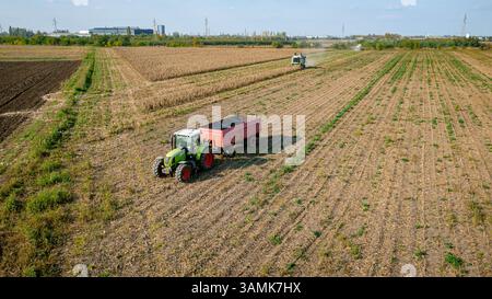 Sopra la vista, oltre un rimorchio carico di grano in attesa di trasbordo. In background, due raccoglitrici, che raccolgono mais non sviluppato, campo di mais con yi basso Foto Stock