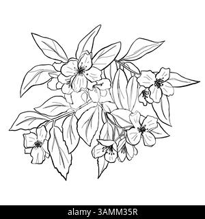 Ramo in fiore di primavera art. Ramo sakura disegnato a mano con fiori. Illustrazione isolata botanica minima vettoriale di colore nero Illustrazione Vettoriale