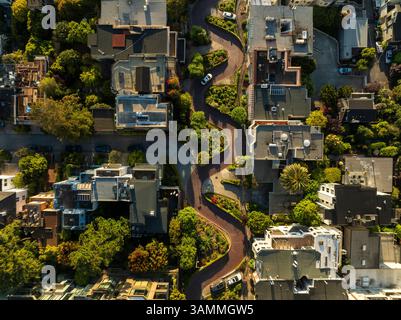 Vista aerea di splendide case residenziali e alberi verdi in un quartiere panoramico, Russian Hill, San Francisco, Stati Uniti. Foto Stock