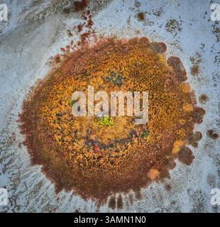 Vista aerea della formazione astratta di acqua lungo la costa del lago Elton, un grande lago salato con minerali a Vengelovskoe, Oblast' di Volgograd, Russia. Foto Stock