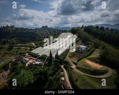 Vista aerea della campagna con serre, campi ed edifici rurali, El Penol, Antioquia, Colombia. Foto Stock