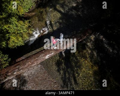 Vista aerea del tranquillo ruscello della foresta con due persone e l'albero caduto, Qualicum Beach, British Columbia, Canada. Foto Stock