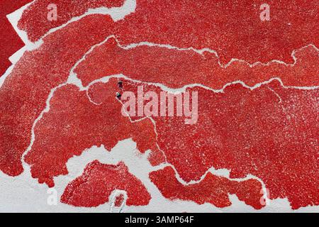 Vista aerea della lavorazione del peperoncino rosso con motivi e texture intricati, Hat Sherpur, Sariakandi, Rajshahi, Bangladesh. Foto Stock