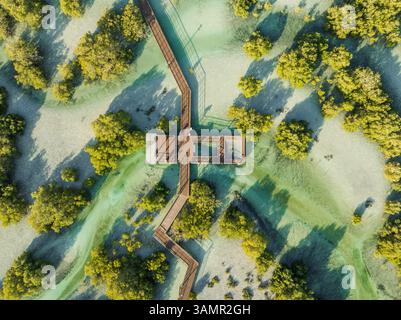 Vista aerea della mangrovia di Jubail, Abu Dhabi, Emirati Arabi Uniti. Foto Stock