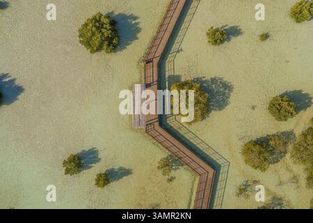 Vista aerea del parco a piedi delle mangrovie di Jubail ad Abu Dhabi, Emirati Arabi Uniti. Foto Stock