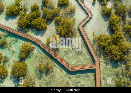 Vista aerea del parco a piedi delle mangrovie di Jubail ad Abu Dhabi, Emirati Arabi Uniti. Foto Stock