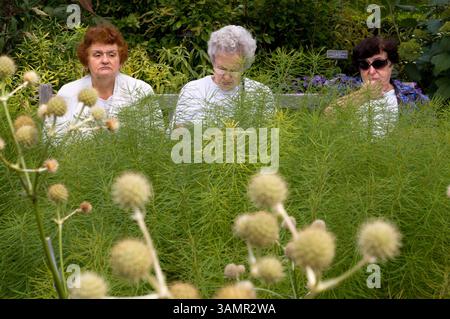 26 settembre 2009 - New York, New York, Stati Uniti - New York Botanical Garden. Situato nel Bronx, il New York Botanical Garden è uno dei giardini più grandi e rinomati degli Stati Uniti. Il Giardino è un museo di piante in tutto il mondo, organizzato in 48 diverse collezioni di piante e giardini, che attirano oltre 800.000 visitatori ogni anno. (Immagine di credito: © Sergi Reboredo/ZUMA Wire/ZUMAPRESS.com) Foto Stock