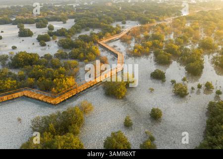 Vista aerea sopra il molo di legno che attraversa il Parco delle mangrovie di Jubail ad Abu Dhabi, Emirati Arabi Uniti Foto Stock