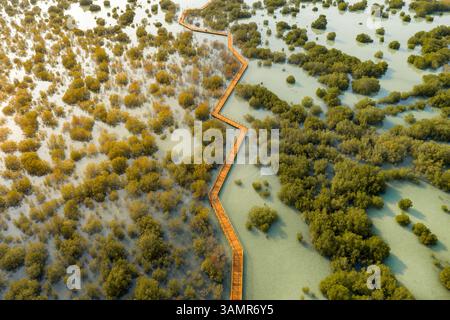 Vista aerea sopra il Parco delle mangrovie di Jubail ad Abu Dhabi, Emirati Arabi Uniti Foto Stock