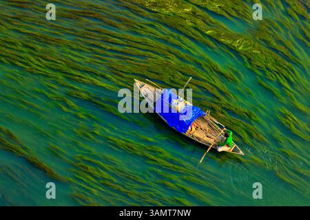 Vista aerea di una persona che naviga con una canoa nel fiume con alghe, Sirajganj, Bangladesh. Foto Stock