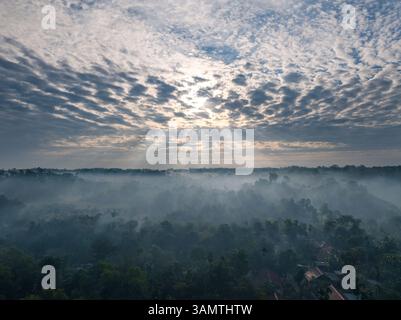 Vista aerea dell'alba su un lussureggiante giardino da tè circondato da nebbia e foresta, Sreemangal, Bangladesh. Foto Stock