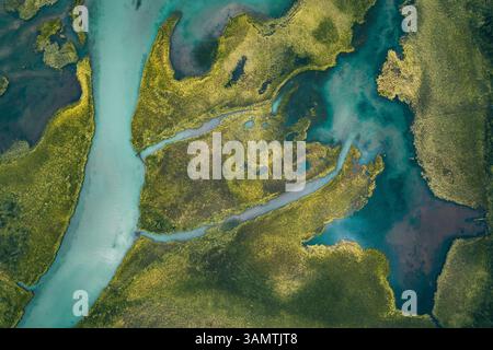 Vista aerea dell'affluente del fiume dall'alto vicino al lago, Verkh-Uymonskoe, regione di Altai, Russia. Foto Stock