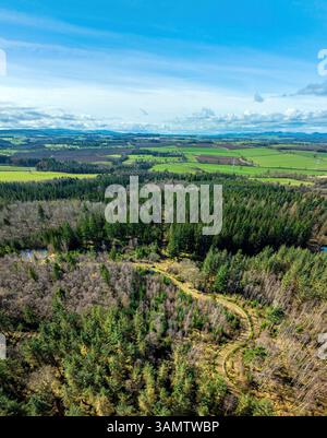Vista aerea del paesaggio paesaggistico con prati e alberi, Saulton Wood, Tranent, Scozia. Foto Stock