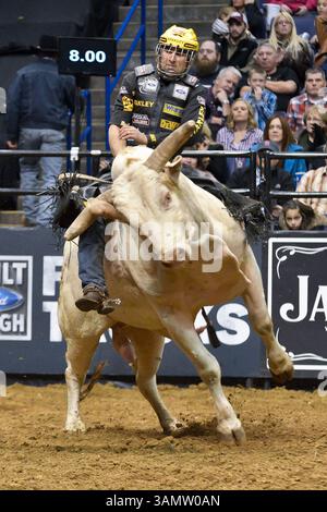15 febbraio 2014 - St. Louis, Missouri, U. S - Rider SILVANO ALVES completa con successo la corsa sul toro JOHN WAYNE durante il secondo round della Professional Bull Riders Built Ford Tough Series presentata da Cooper Tires allo Scottrade Center di St. Louis, Missouri (Credit Image: © Richard Ulreich/ZUMAPRESS.com) Foto Stock