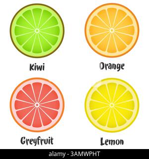 Set di fette di agrumi freschi Illustrazione Vettoriale