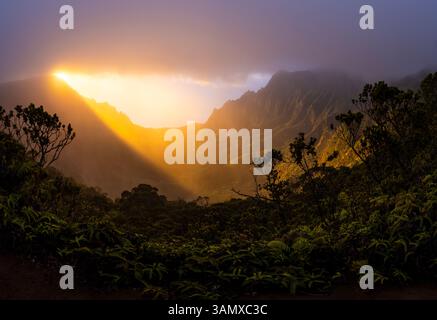 Vista aerea della Napali Coast con maestose scogliere e lussureggiante foresta, Kauai, Stati Uniti. Foto Stock